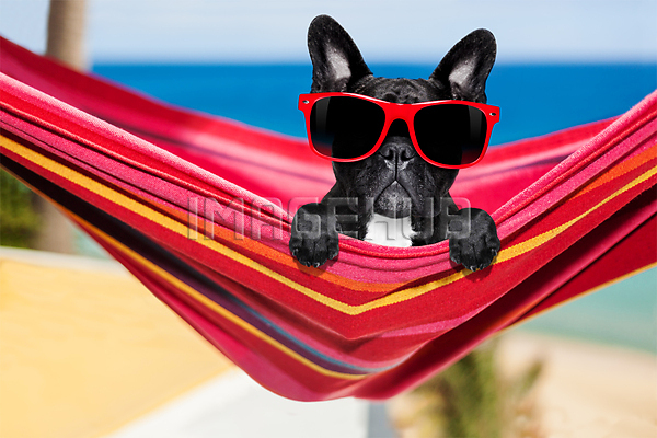 이미지 미리보기