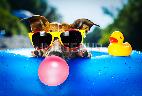 이미지 미리보기