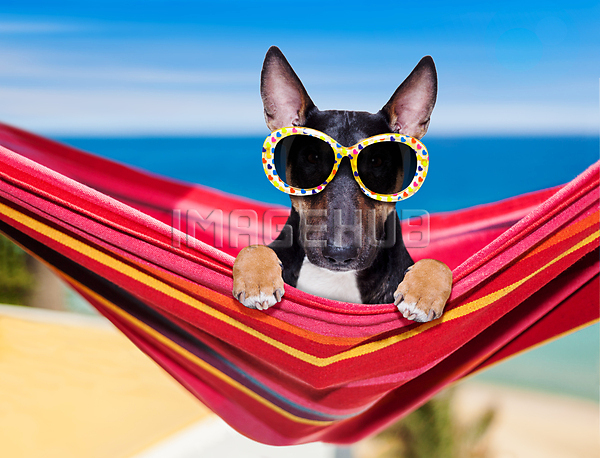 이미지 미리보기