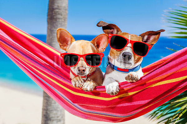 이미지 미리보기