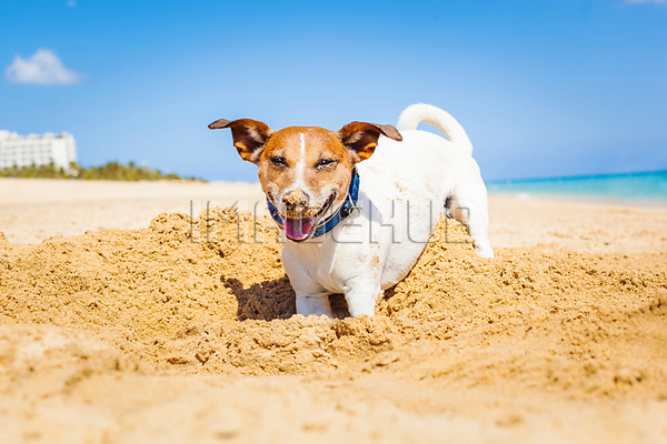 이미지 미리보기