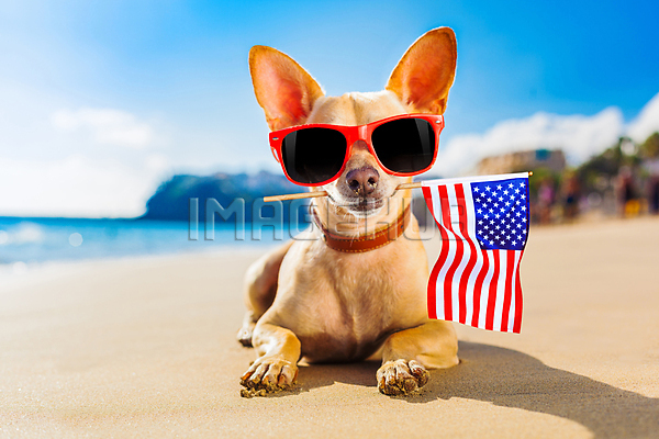 이미지 미리보기