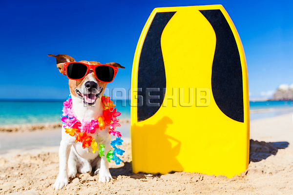 이미지 미리보기