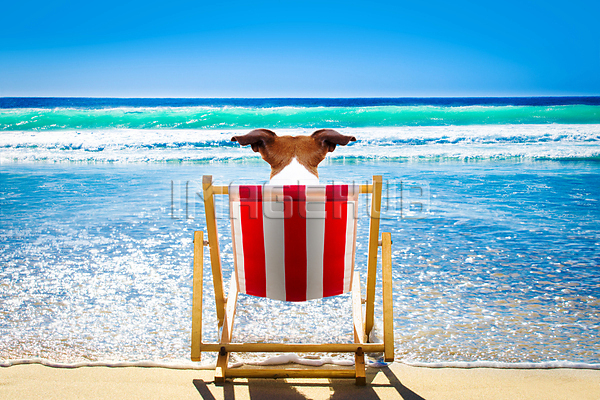 이미지 미리보기