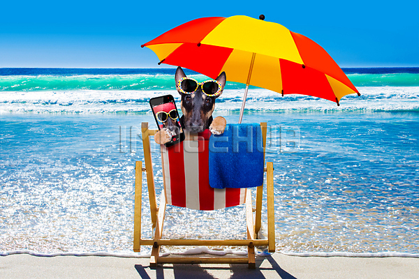 이미지 미리보기