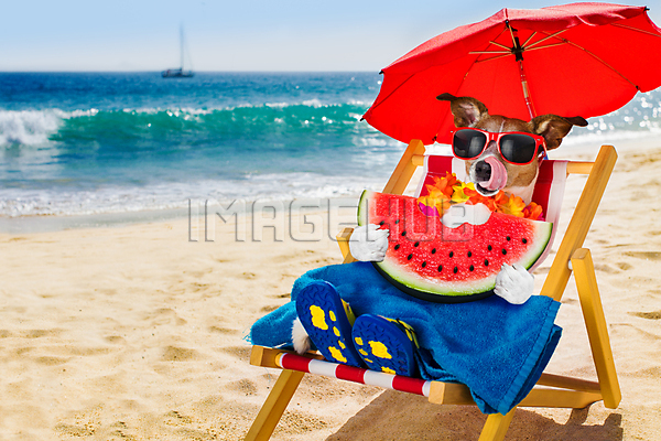 이미지 미리보기