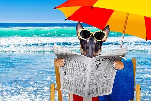 이미지 미리보기