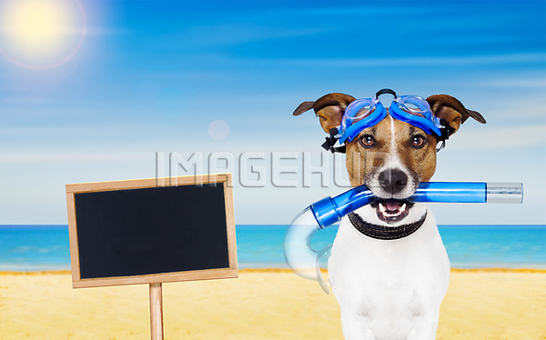 이미지 미리보기