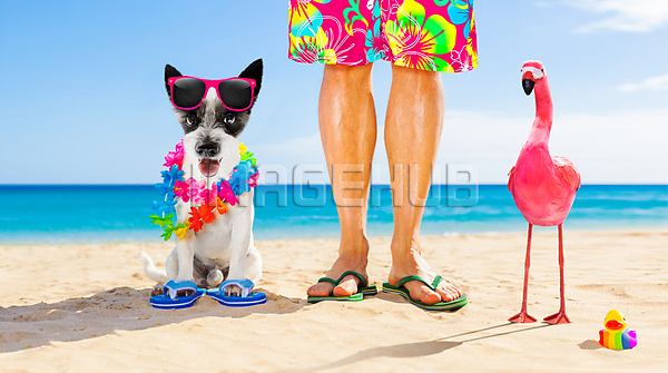 이미지 미리보기