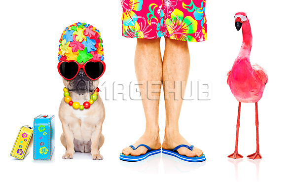 이미지 미리보기