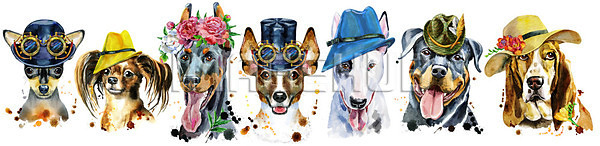 이미지 미리보기