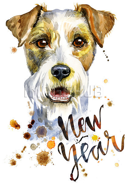 이미지 미리보기