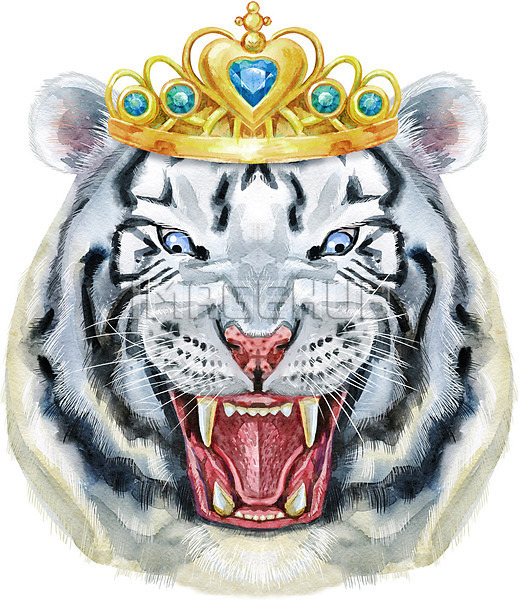 이미지 미리보기