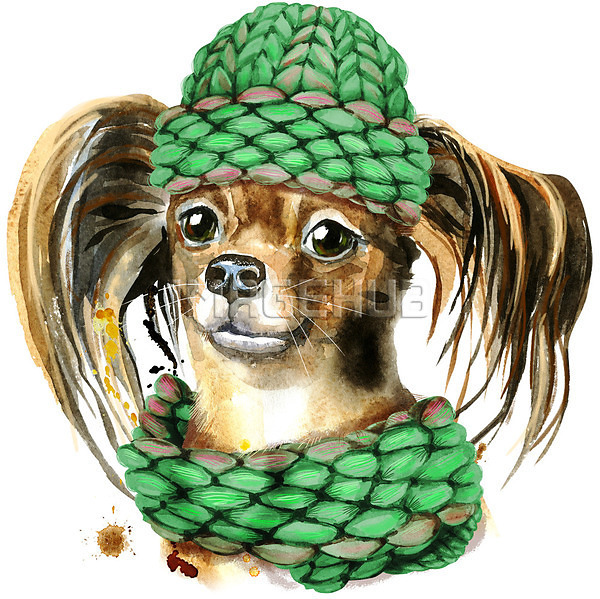 이미지 미리보기