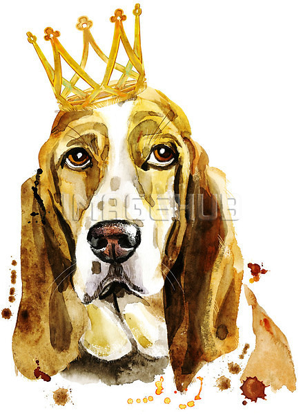 이미지 미리보기