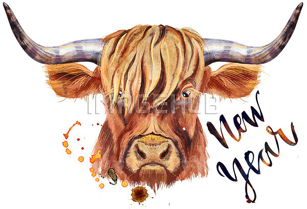 이미지 미리보기