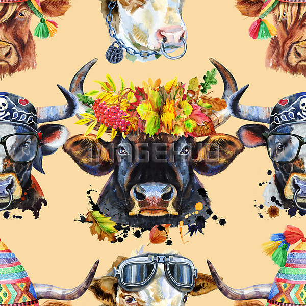 이미지 미리보기