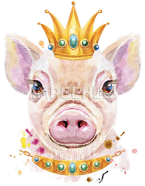 이미지 미리보기