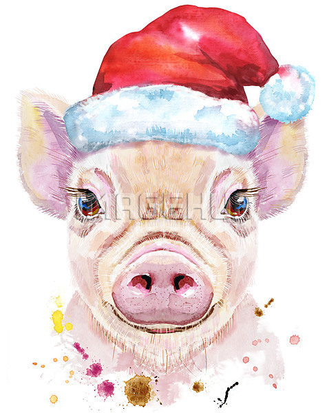 이미지 미리보기