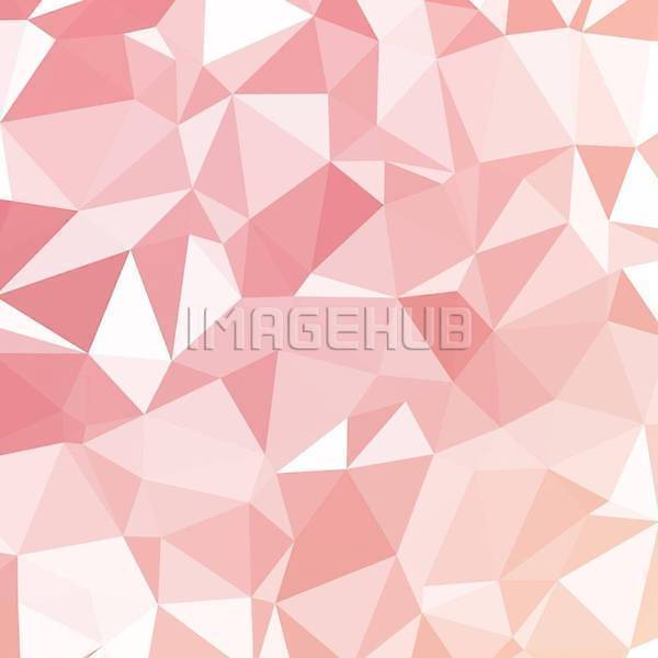 이미지 미리보기