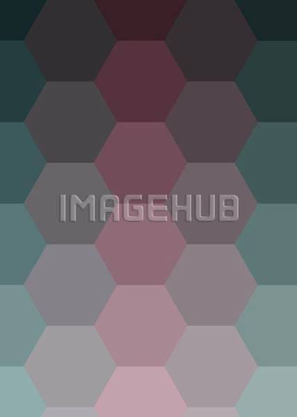 이미지 미리보기