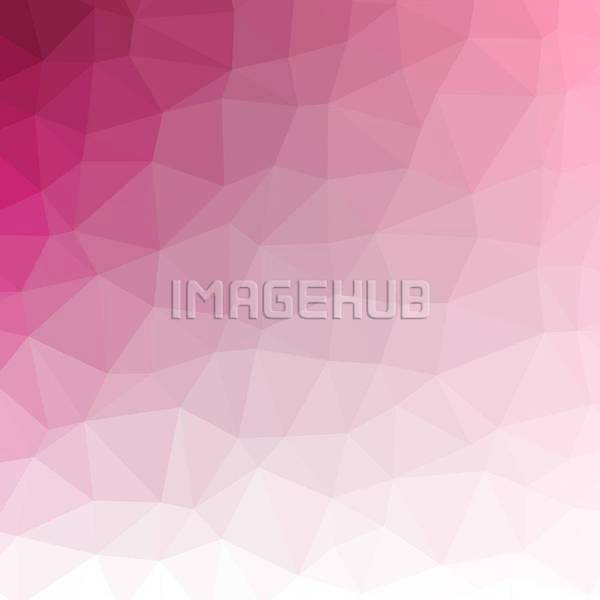 이미지 미리보기