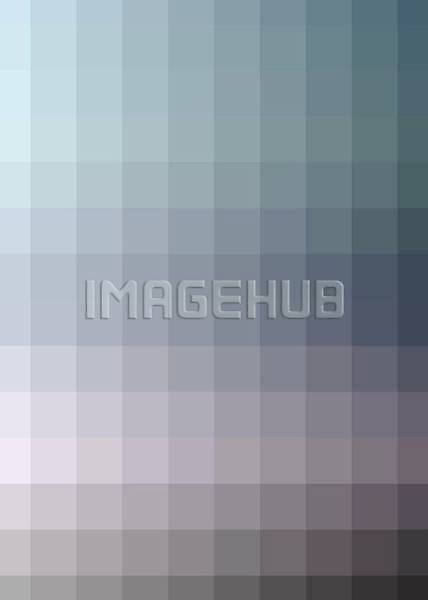 이미지 미리보기