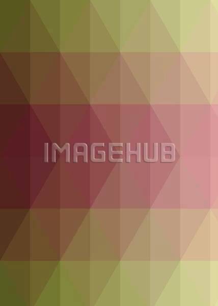 이미지 미리보기