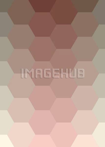 이미지 미리보기