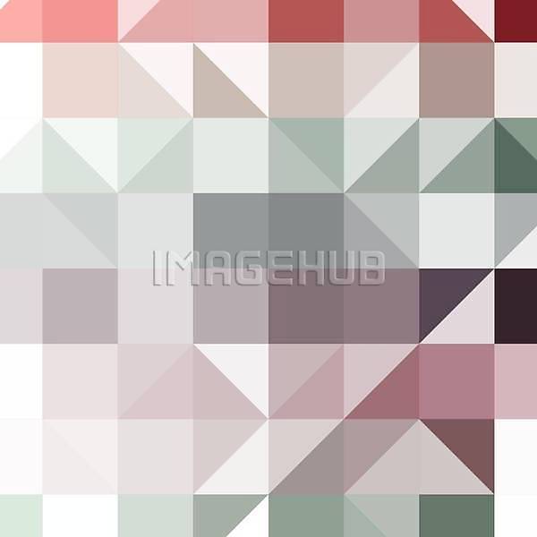 이미지 미리보기