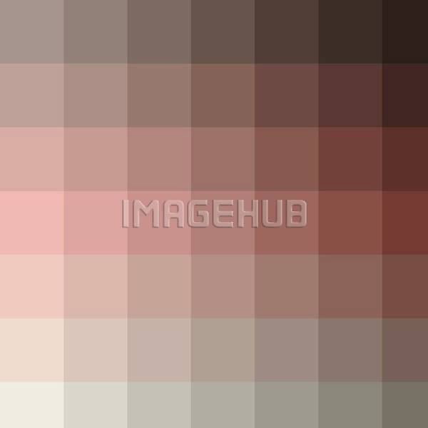 이미지 미리보기