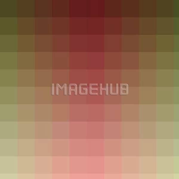 이미지 미리보기