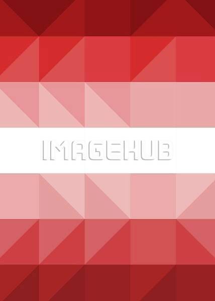 이미지 미리보기