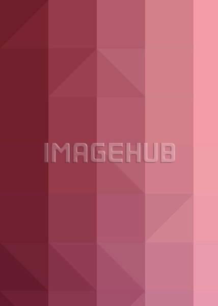 이미지 미리보기