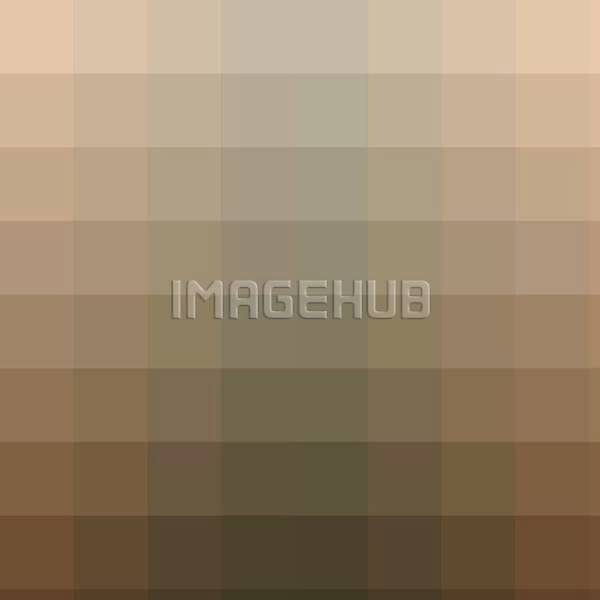 이미지 미리보기