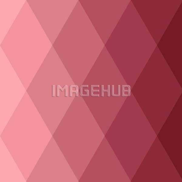 이미지 미리보기