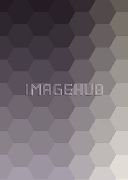 이미지 미리보기