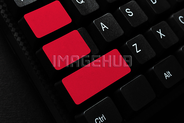 이미지 미리보기