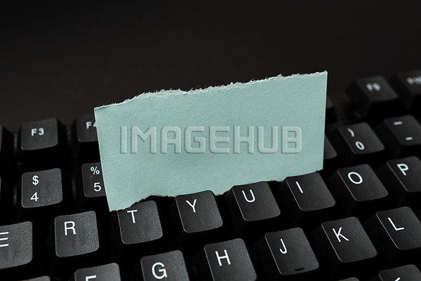 이미지 미리보기