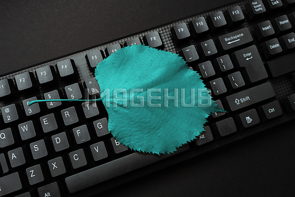 이미지 미리보기