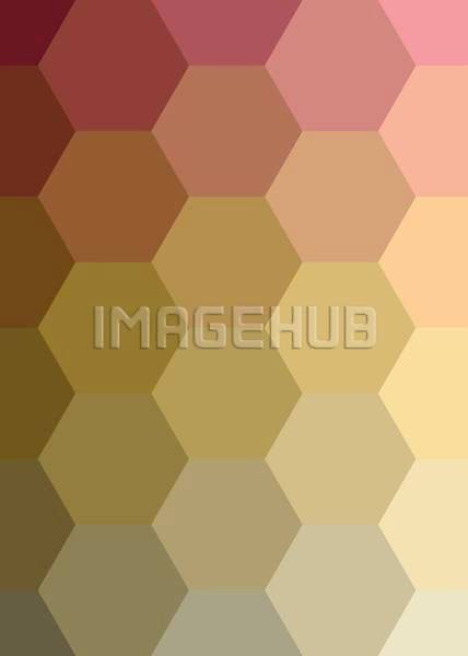 이미지 미리보기