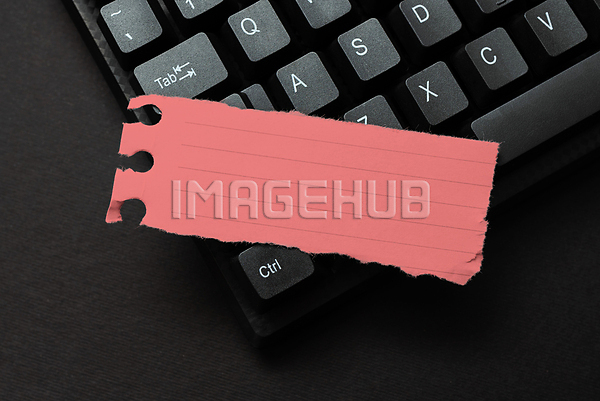 이미지 미리보기