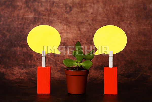 이미지 미리보기