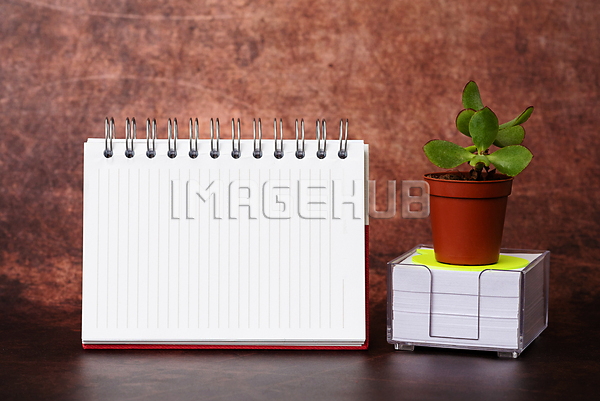 이미지 미리보기