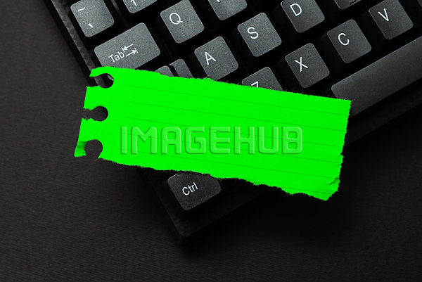 이미지 미리보기