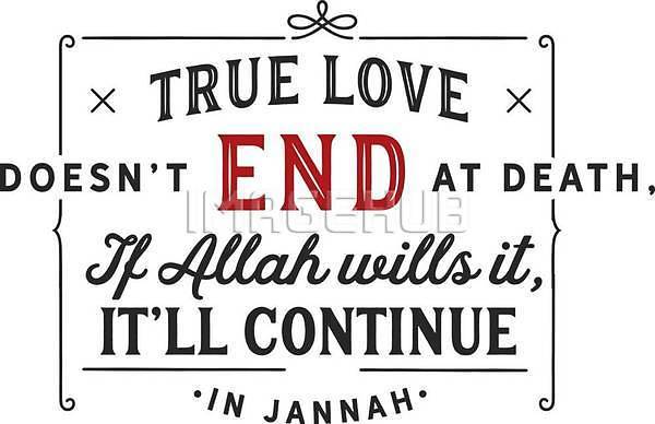 이미지 미리보기