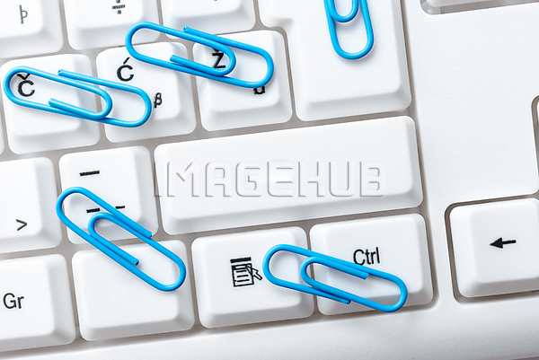 이미지 미리보기