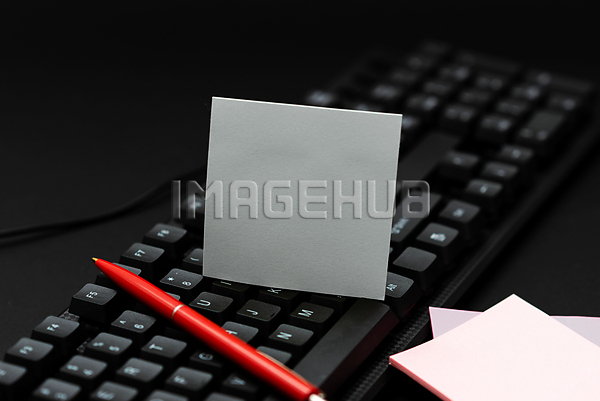 이미지 미리보기