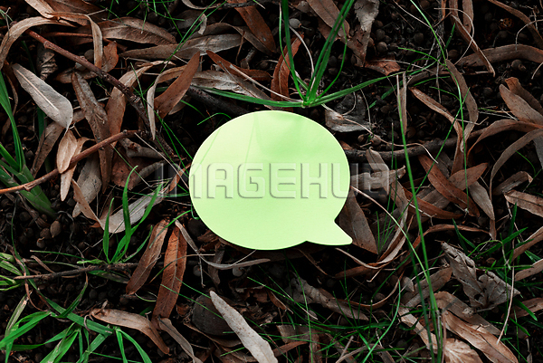 이미지 미리보기