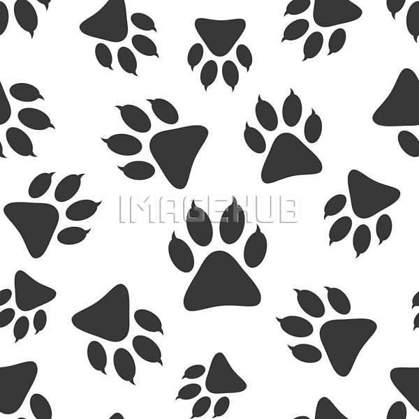 이미지 미리보기